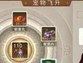 问道手游宠物怎么飞升 宠物飞升流程