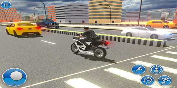 模拟警察追捕游戏